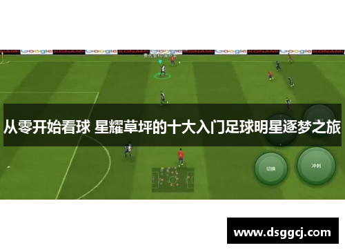 从零开始看球 星耀草坪的十大入门足球明星逐梦之旅
